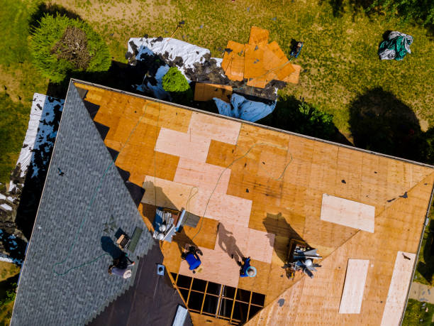 Roof Gutter Cleaning in Kathleen, FL
